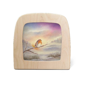 Toverplaat Winter Robin - Baukje Exler