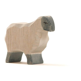 Ostheimer Moorland Schaap