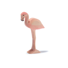 Flamingo, Ostheimer