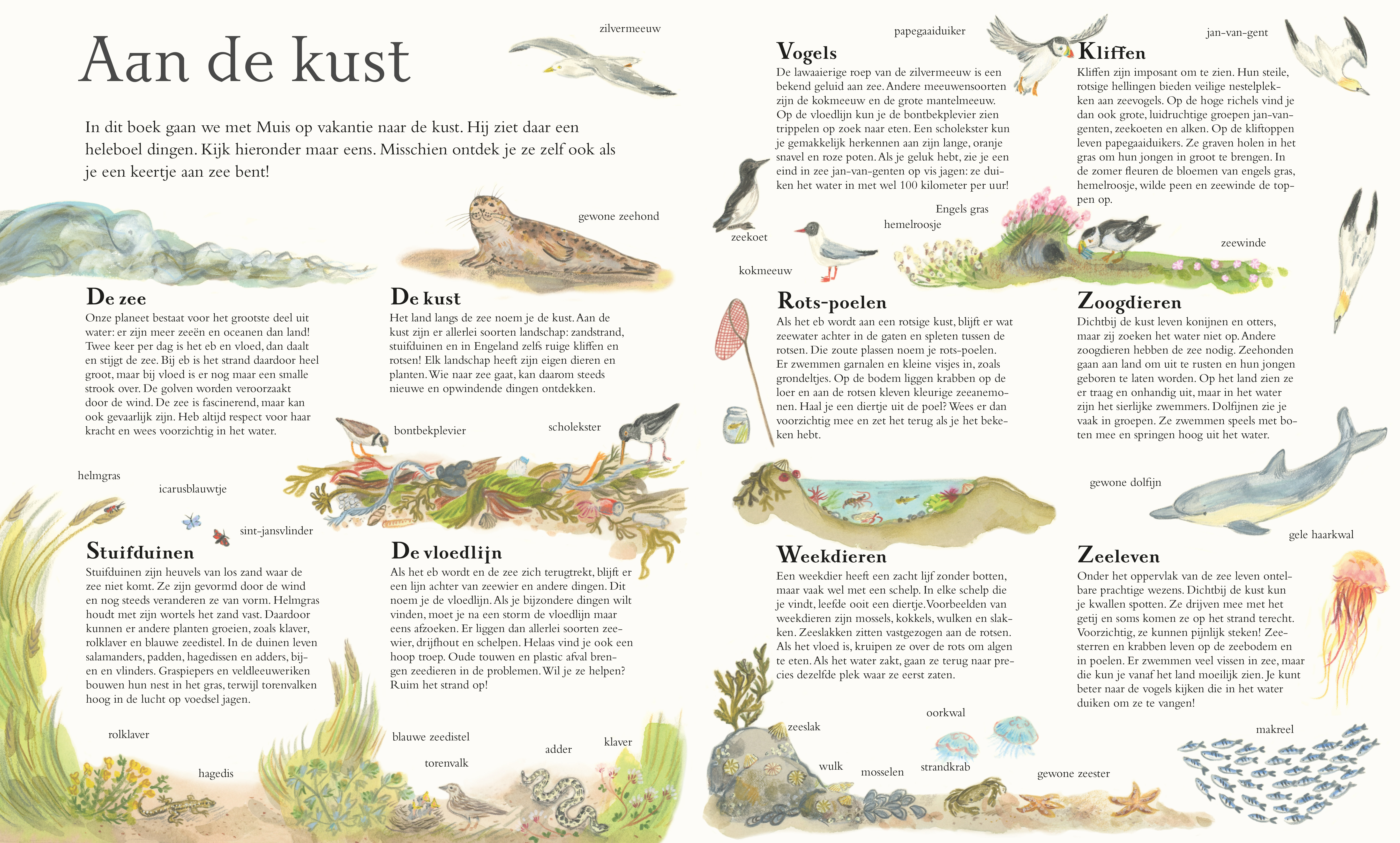 Muis aan zee, Christofoor