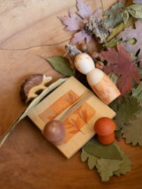 Ostheimer X Grapat - Hello Autumn Herfstset