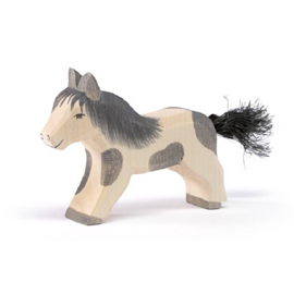 Shetlandpony lopend, Ostheimer