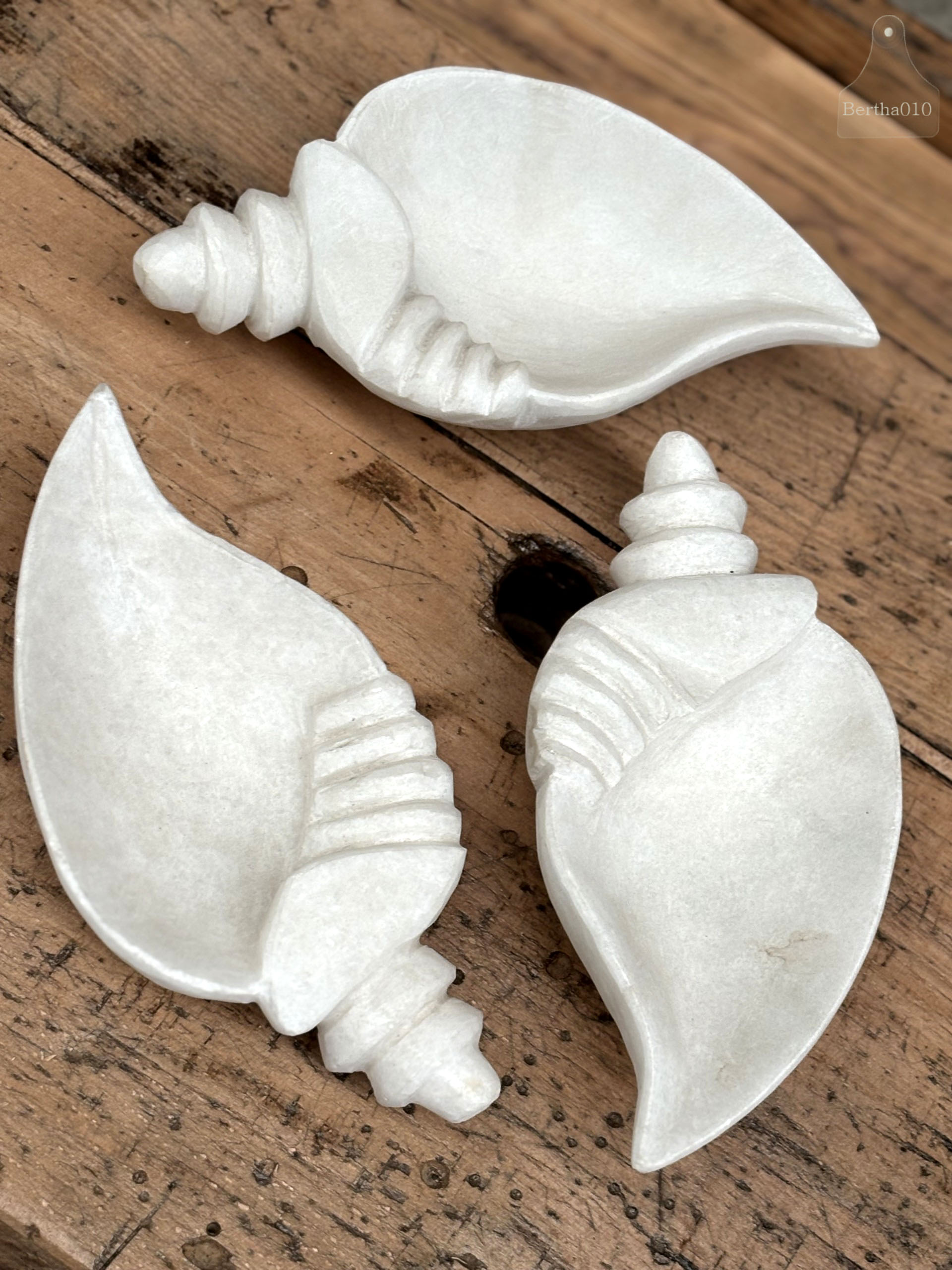 Shankha marmeren hoornschelp 147232