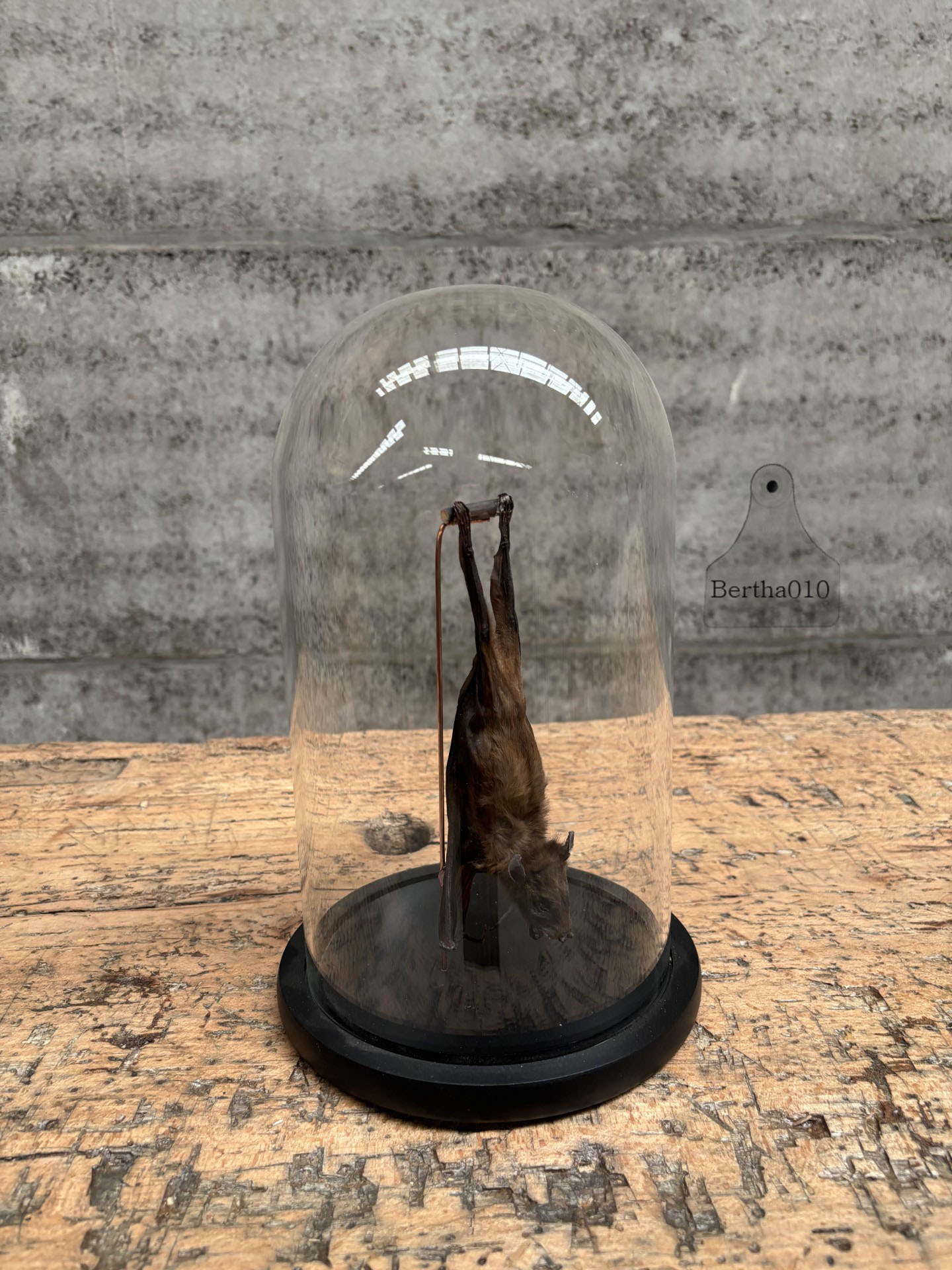 Stolp vleermuis 147326 hoogte 29 cm