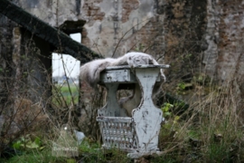 Lectuurbak (130108)..verkocht