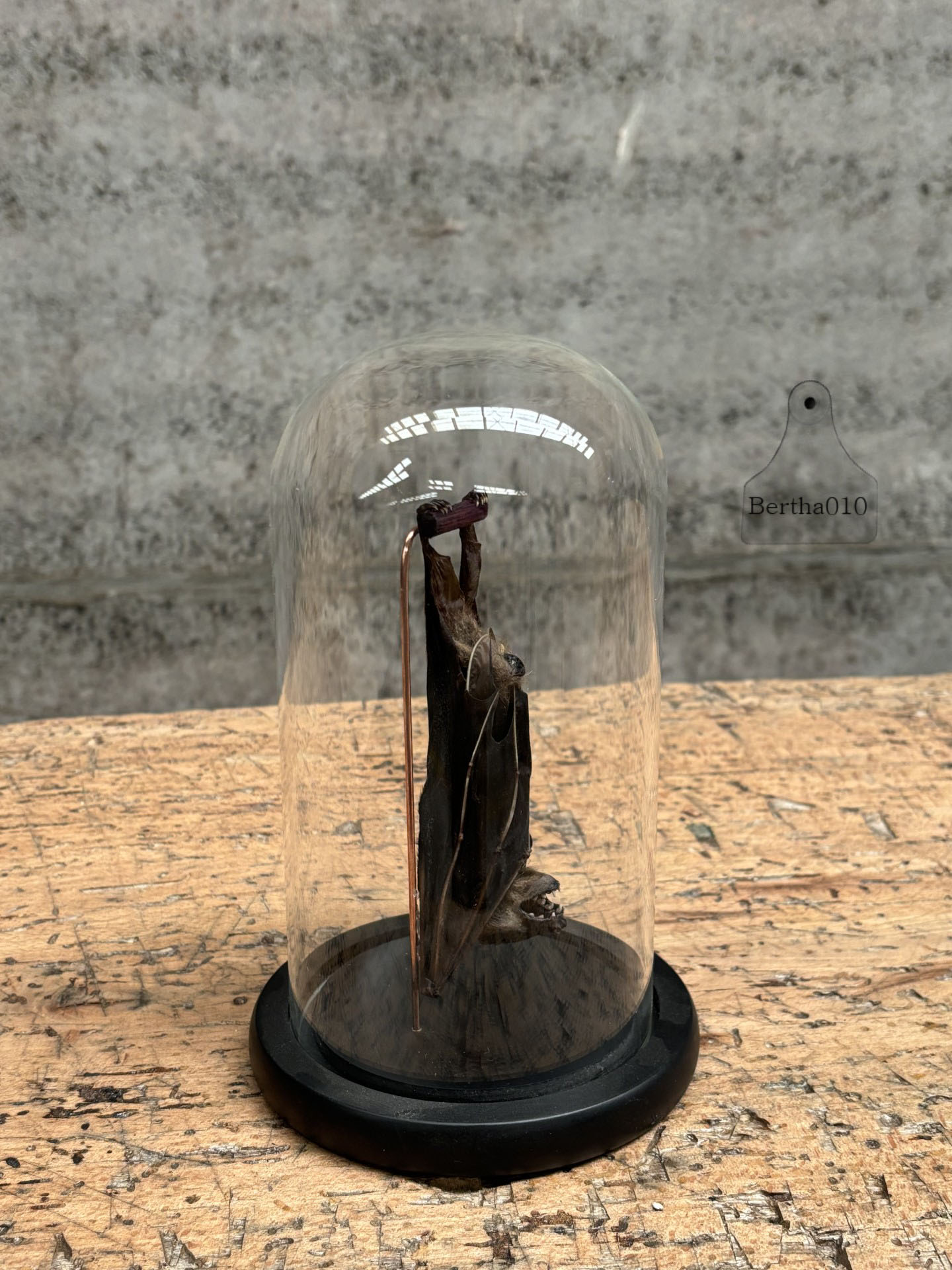Stolp vleermuis 147326 hoogte 29 cm