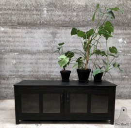 Laag uniek dressoir  (144526) verkocht