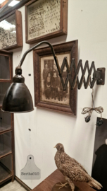 Oude originele schaarlamp 147377 verkocht
