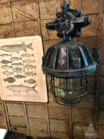 Bullylamp zwart (138526)