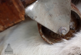 Grote antieke verzendkist op wielen (131357)..verkocht