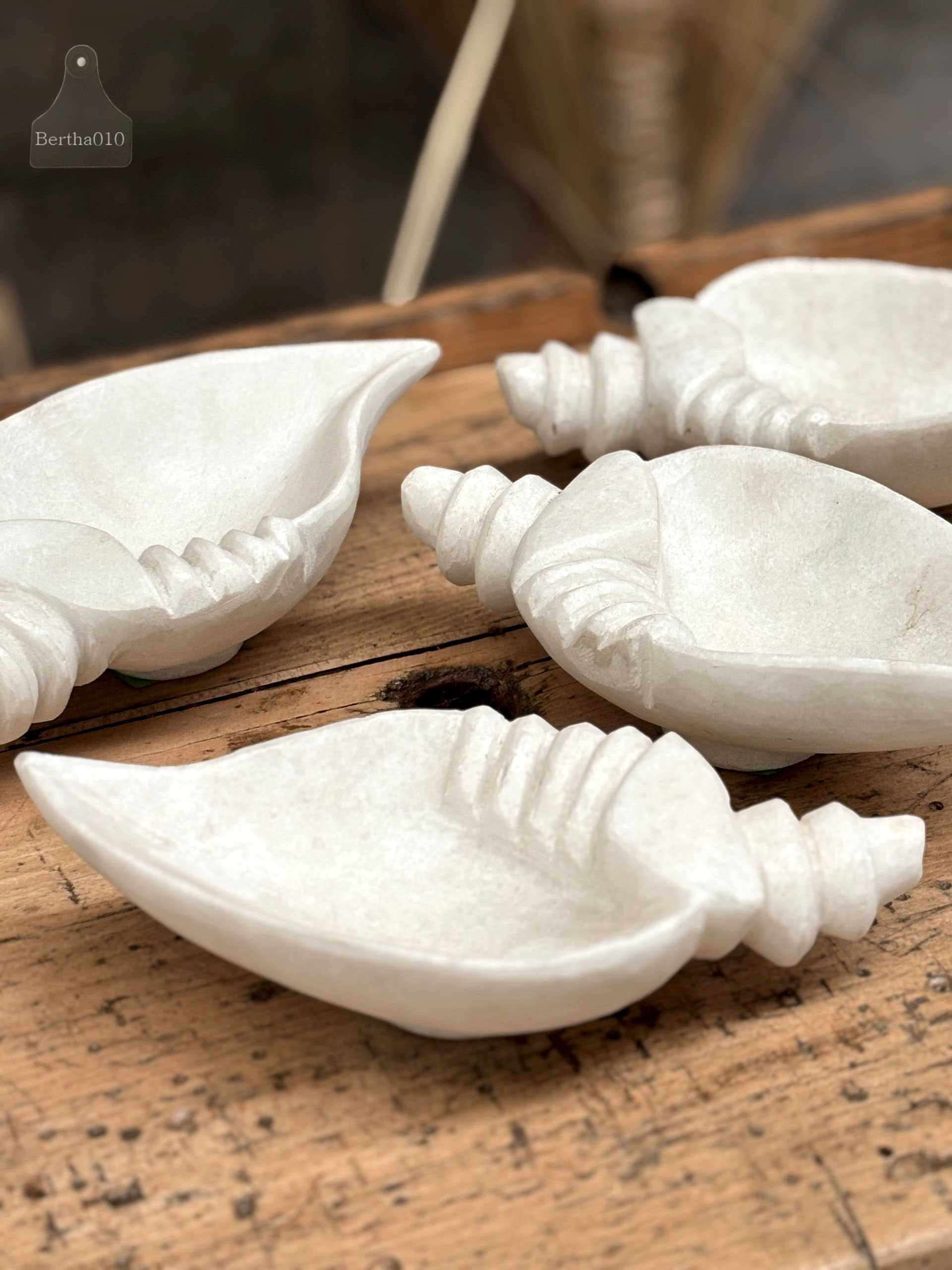 Shankha marmeren hoornschelp 147232