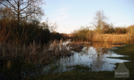 Natuurgebied Quackjeswater