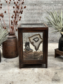 Antieke houten museumvitrine 148172