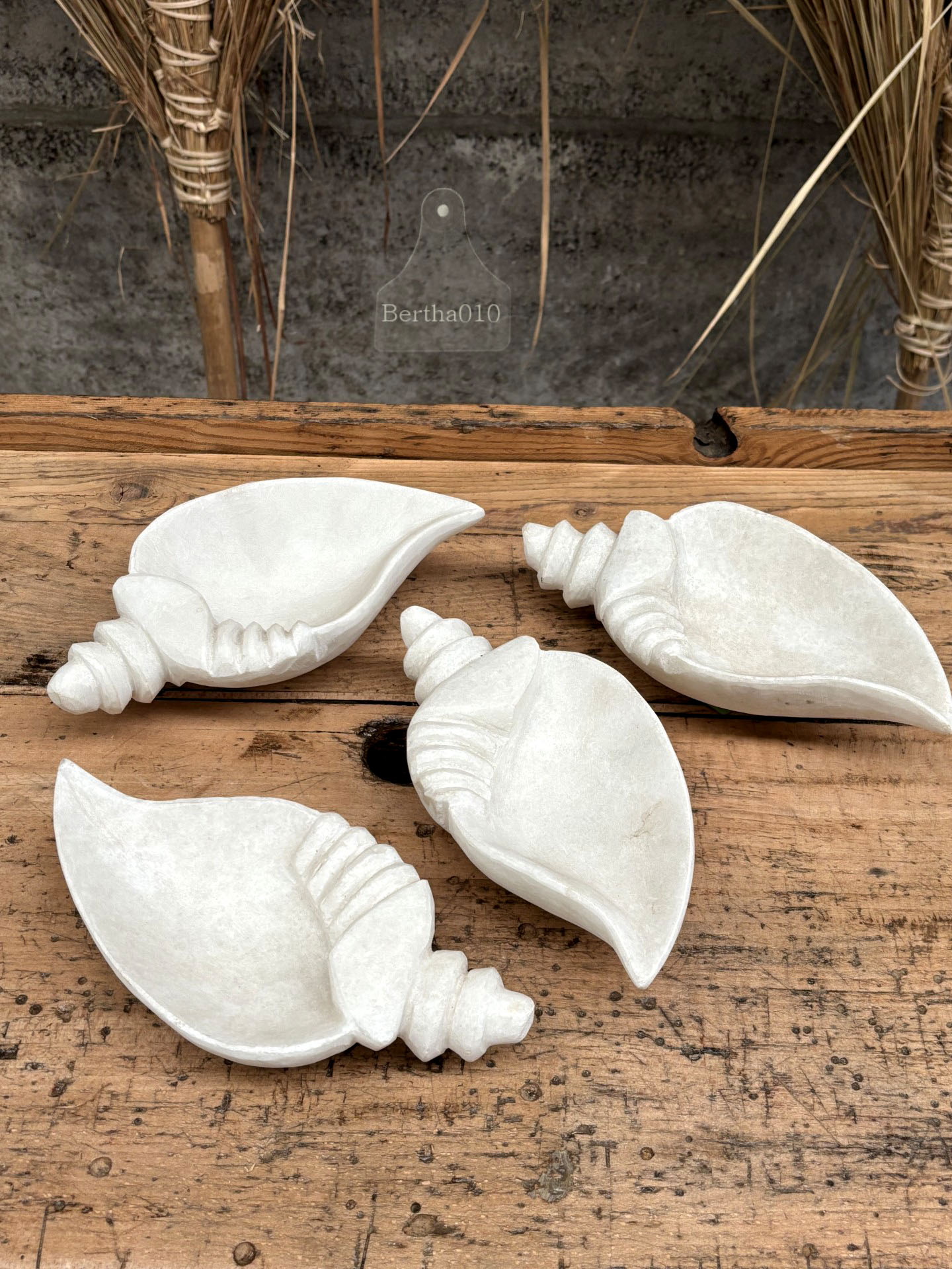 Shankha marmeren hoornschelp 147232