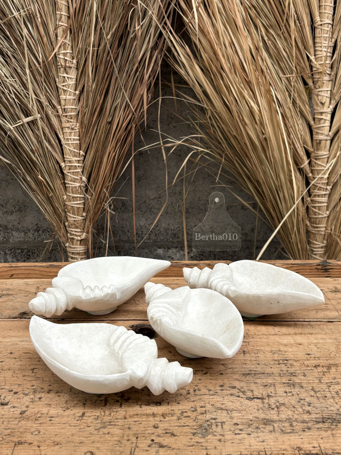 Shankha marmeren hoornschelp 147232