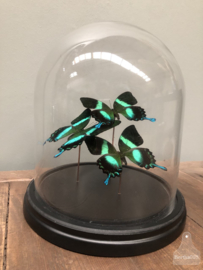 Stolp vlinder groen (144736) verkocht