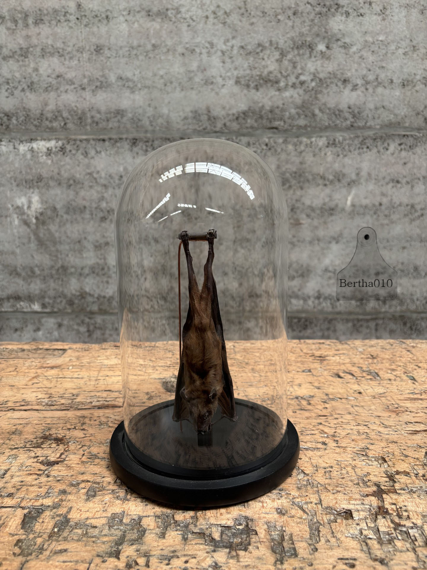 Stolp vleermuis 147326 hoogte 29 cm