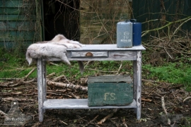 Oude side table (130115) verkocht