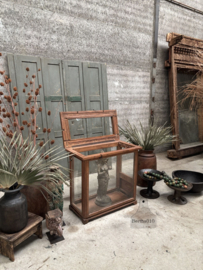 X Vitrine 148179