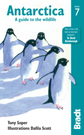 Natuurgids Antarctica: A Guide to the Wildlife | Bradt Nature guides | ISBN 9781784770914