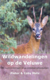Wandelgids Wildwandelingen op de Veluwe | Anoda | ISBN 9789491899492
