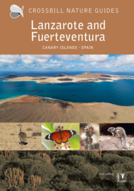 Natuurgids Fuerteventura en Lanzarote | Crossbill Guides | ISBN 9789491648267