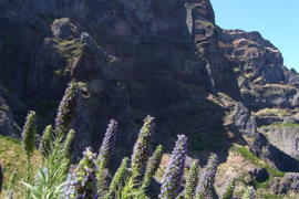 Madeira