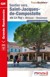 Wandelgids Sentier vers Saint-Jacques-de-Compostelle : via Le Puy > Moissac - Roncevaux | FFRP | ISBN 9782751412622
