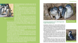 Natuurgids Nieuw Zeeland - Naturwunder Neuseeland | Mana Verlag | ISBN 9783955030094