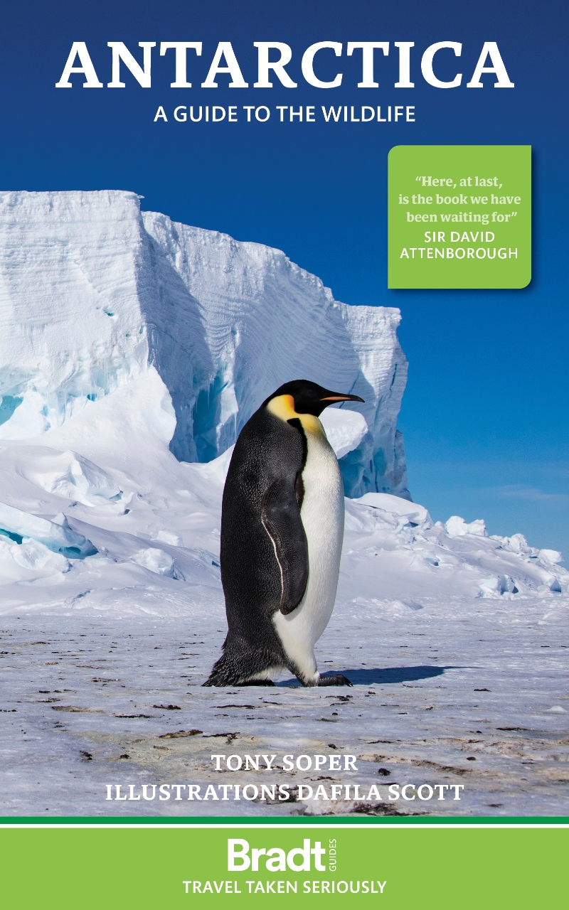 Natuurgids Antarctica: A Guide to the Wildlife | Bradt Nature guides | ISBN 9781804692677