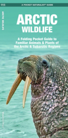Natuurgids Arctic Wildlife | Waterford Press | ISBN 9781583558294
