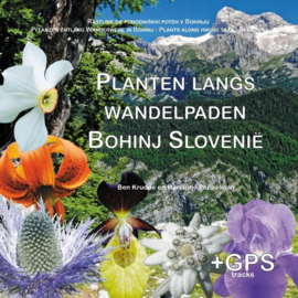 Wandelgids Planten langs wandelpaden in Bohinj - Slovenië |  BKBOEK | ISBN 9789090328201