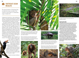 Reisgids Southeast Asia | Insight Guide Engels | ISBN 9781839053856