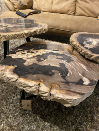 Versteend houten salontafel set van 3