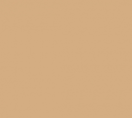 Flexa Strak in de Lak Camel 1025 Zijdeglans - 0,75 Liter