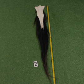 Paardenstaart (1.05 cm)