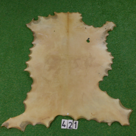 Fallow deer parchment / rawhide (0,89m²)