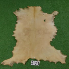 Fallow deer parchment / rawhide (0,89m²)