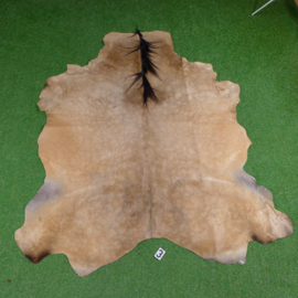 Horse hide rug (205 x 180)