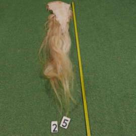 Paardenstaart (130 cm)