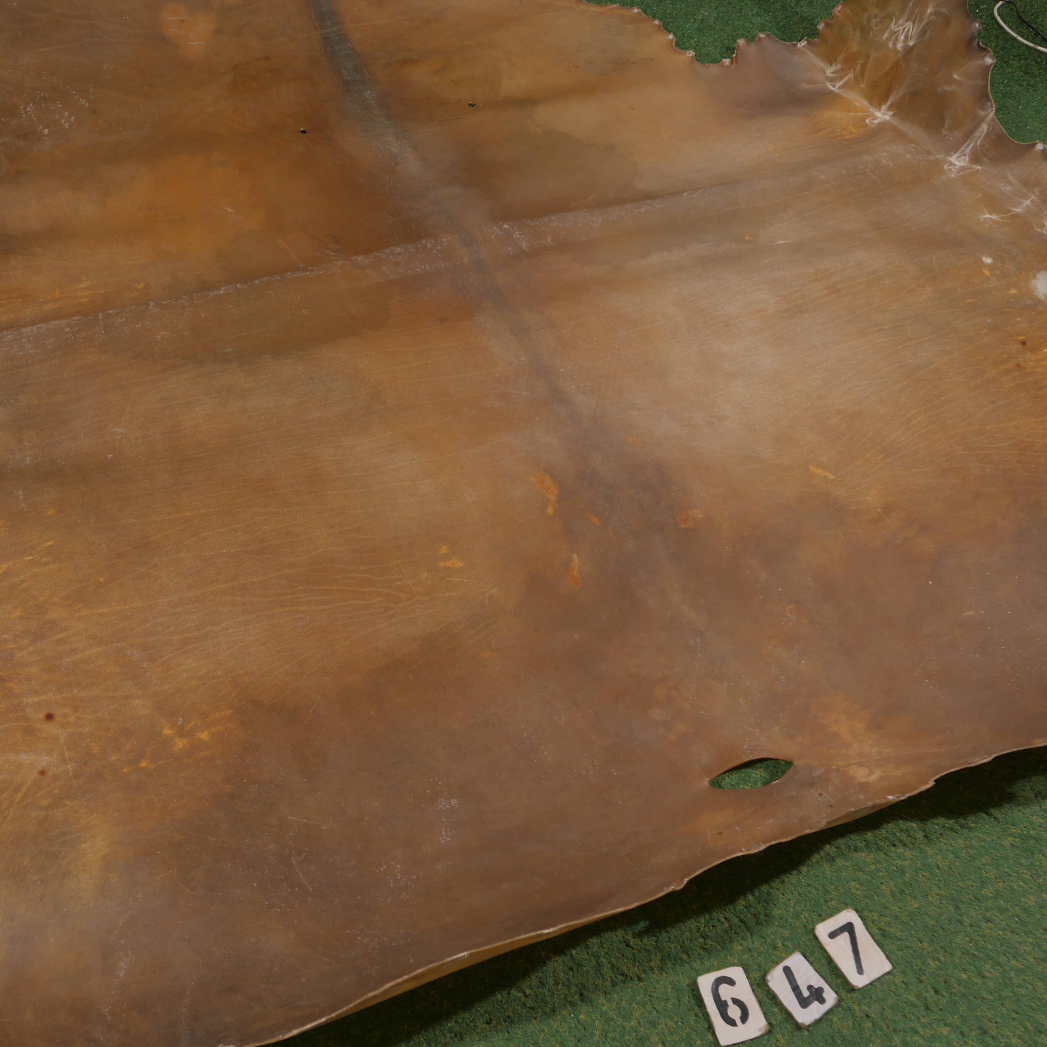 Bison parchment (4.31m²)