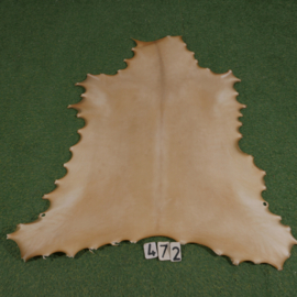 Perkament van rendier ( 1.00  m²)