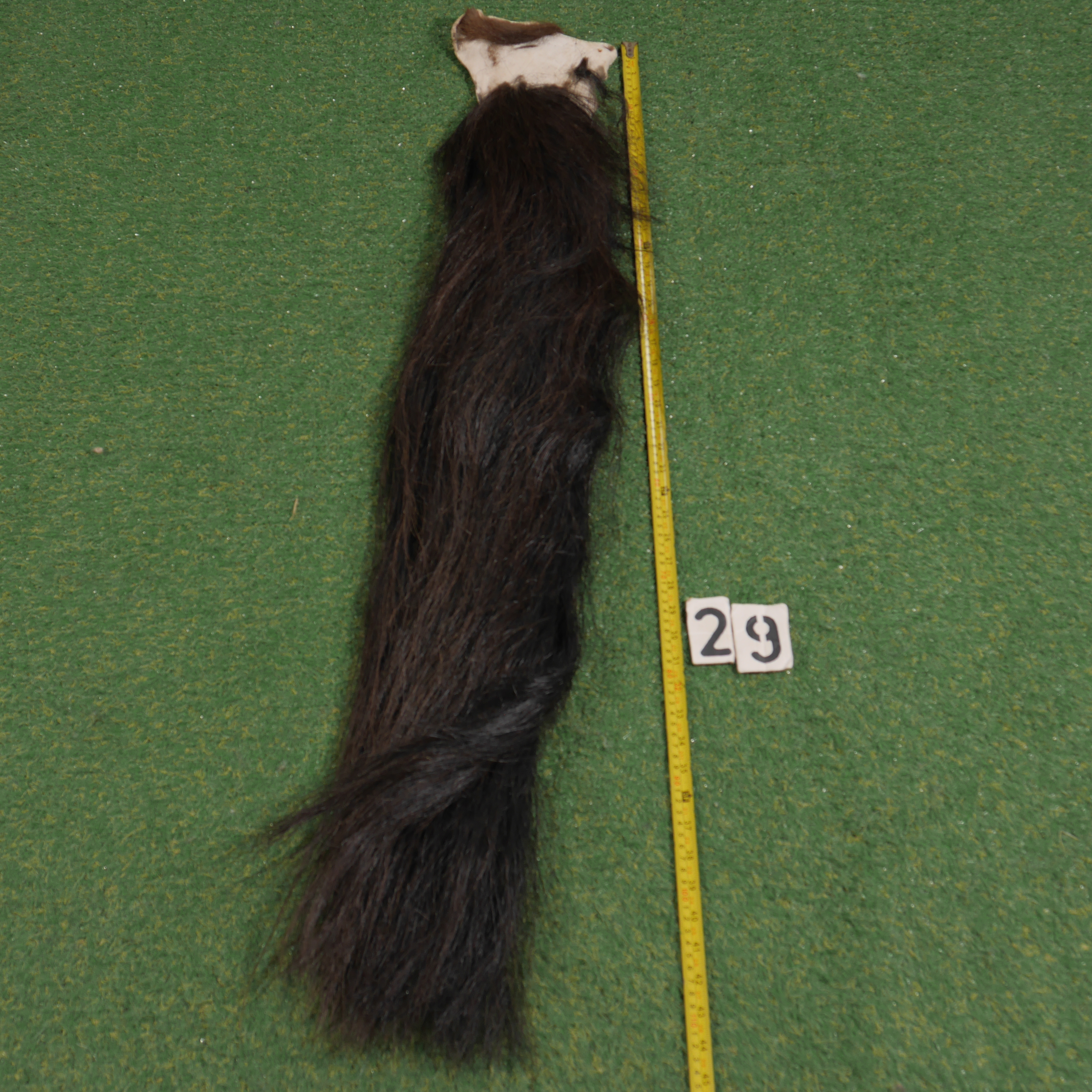Paardenstaart (110 cm)
