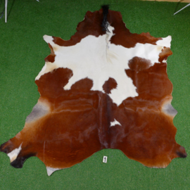 Horse hide rug (240 x 200)