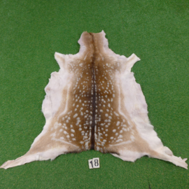 Fallow deer skin (125 x 115) winter coat