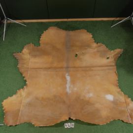 Perkament van bizon (4.07 m²)