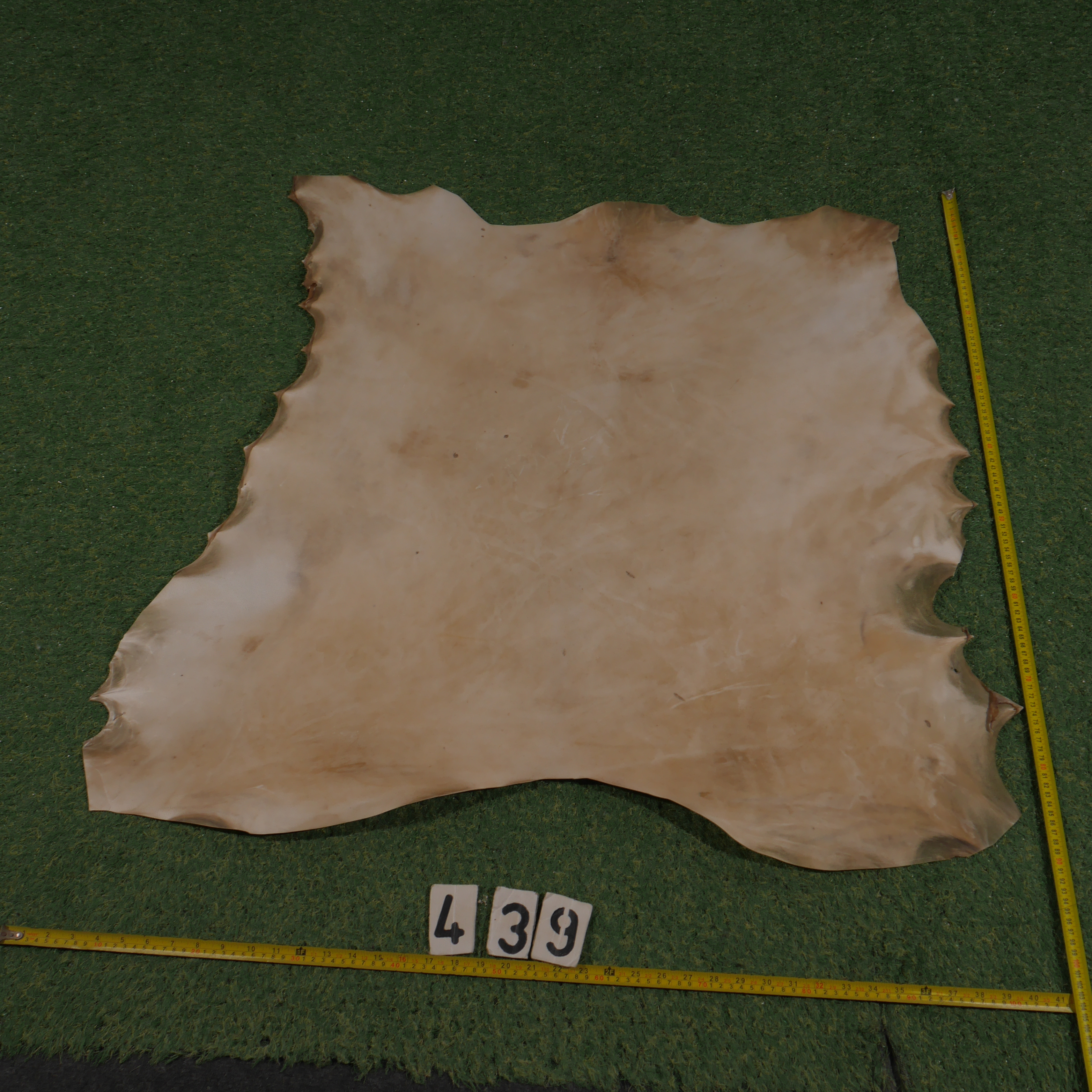 Perkament van edelhert ( 0.90 m²)
