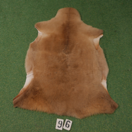 Light brown sheepskin (120 x 75)