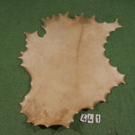 Red deer parchment (0.82 m²)