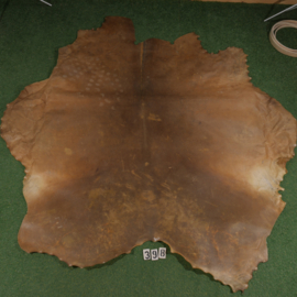 Horse rawhide (3.62 m²)